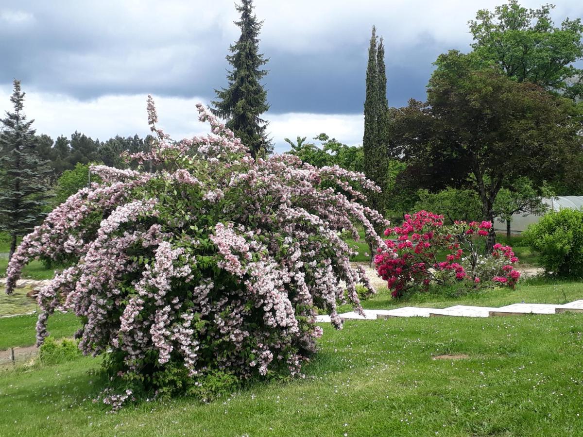 Bienvenue En Perigord Bed and Breakfast Val de Louyre et Caudeau Exteriör bild